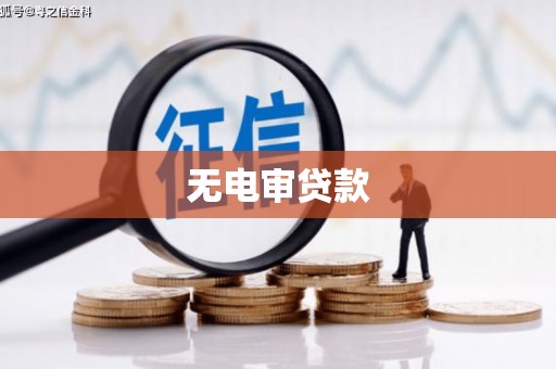灵宝无电审贷款