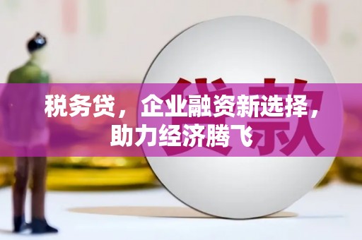 灵宝税务贷，企业融资新选择，助力经济腾飞