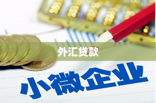 灵宝外汇贷款