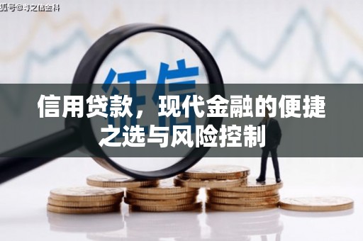 灵宝信用贷款，现代金融的便捷之选与风险控制
