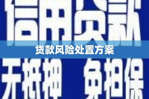 灵宝贷款风险处置方案