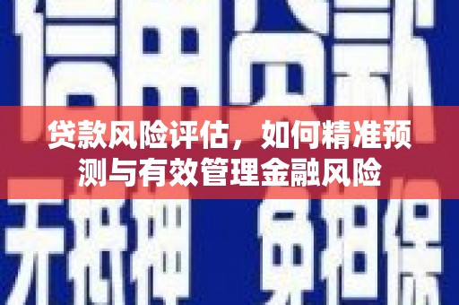 灵宝贷款风险评估，如何精准预测与有效管理金融风险