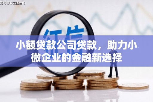 灵宝小额贷款公司贷款，助力小微企业的金融新选择
