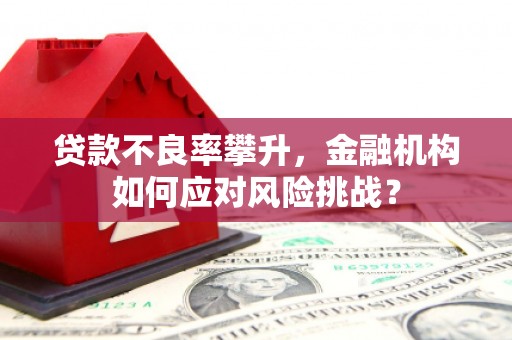 灵宝贷款不良率攀升，金融机构如何应对风险挑战？