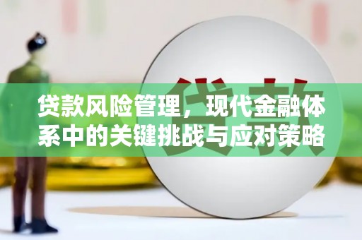 灵宝贷款风险管理，现代金融体系中的关键挑战与应对策略