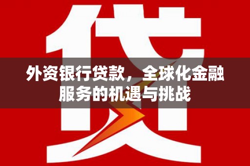 灵宝外资银行贷款，全球化金融服务的机遇与挑战