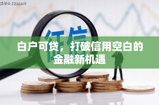 灵宝白户可贷，打破信用空白的金融新机遇