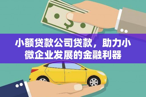 灵宝小额贷款公司贷款，助力小微企业发展的金融利器