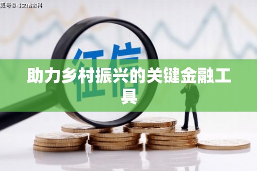 灵宝助力乡村振兴的关键金融工具
