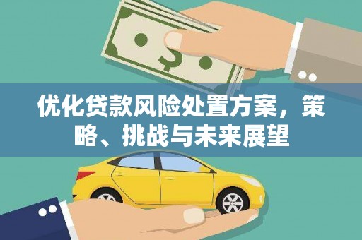 灵宝优化贷款风险处置方案，策略、挑战与未来展望