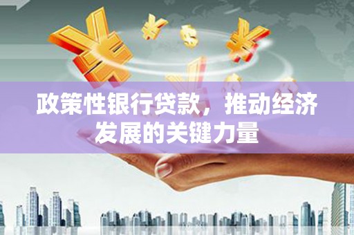 灵宝政策性银行贷款，推动经济发展的关键力量