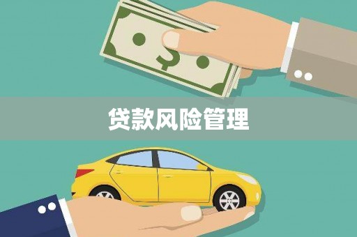 灵宝贷款风险管理