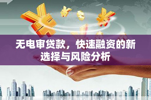 灵宝无电审贷款，快速融资的新选择与风险分析