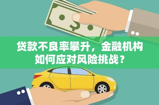 灵宝贷款不良率攀升，金融机构如何应对风险挑战？