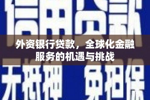 灵宝外资银行贷款，全球化金融服务的机遇与挑战