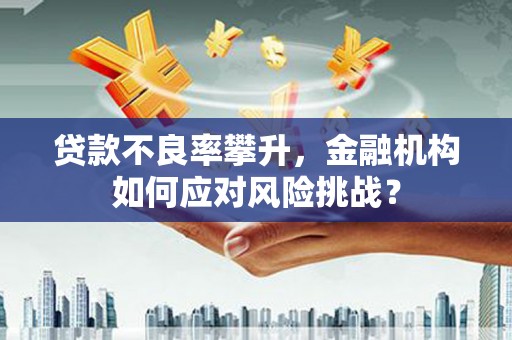 灵宝贷款不良率攀升，金融机构如何应对风险挑战？
