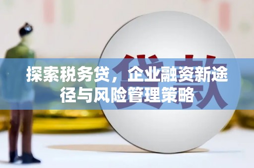 灵宝探索税务贷，企业融资新途径与风险管理策略