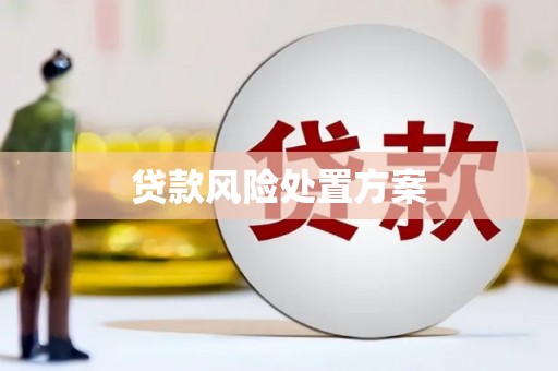 灵宝贷款风险处置方案