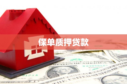 灵宝保单质押贷款