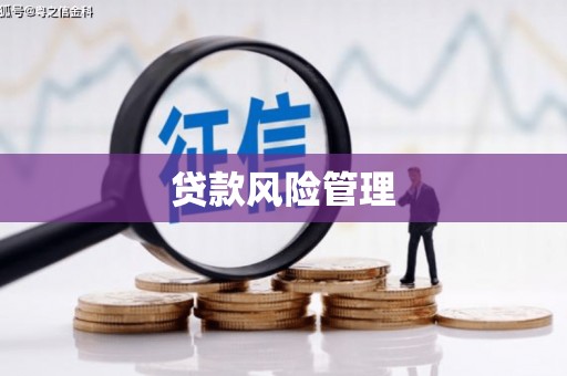 灵宝贷款风险管理