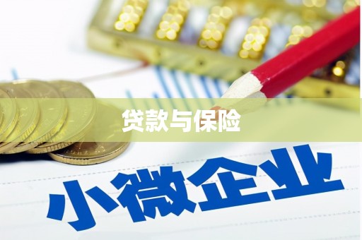 灵宝贷款与保险