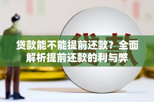 灵宝贷款能不能提前还款？全面解析提前还款的利与弊