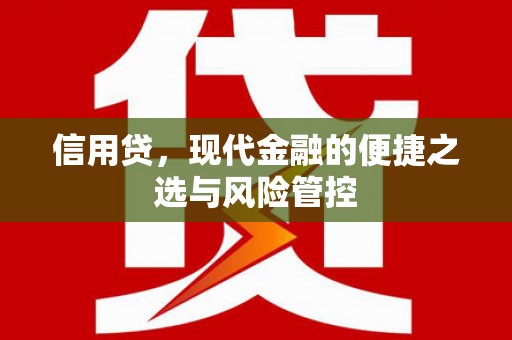灵宝信用贷，现代金融的便捷之选与风险管控