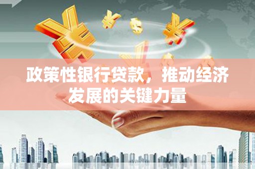 灵宝政策性银行贷款，推动经济发展的关键力量