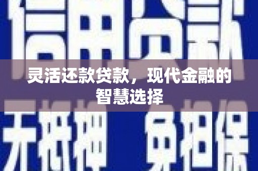 灵宝灵活还款贷款，现代金融的智慧选择
