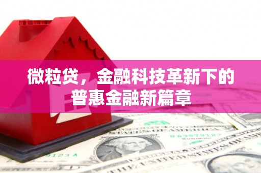 灵宝微粒贷，金融科技革新下的普惠金融新篇章