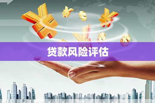 灵宝贷款风险评估