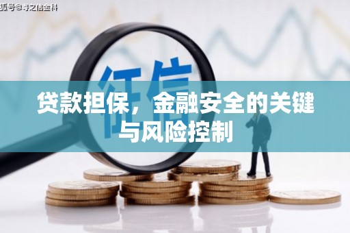 灵宝贷款担保，金融安全的关键与风险控制