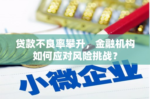 灵宝贷款不良率攀升，金融机构如何应对风险挑战？