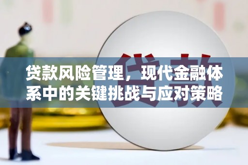 灵宝贷款风险管理，现代金融体系中的关键挑战与应对策略