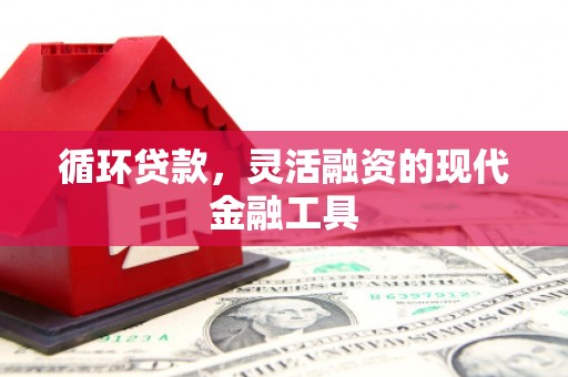 灵宝循环贷款，灵活融资的现代金融工具