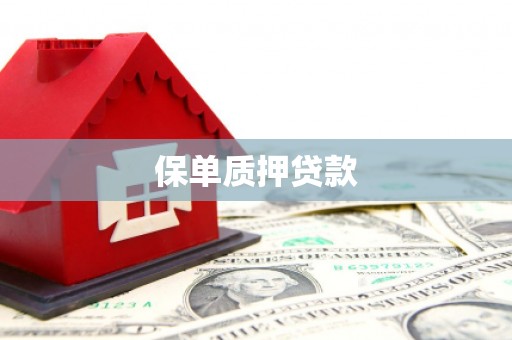 灵宝保单质押贷款
