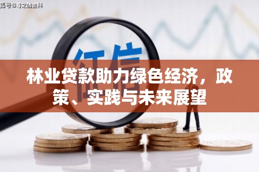灵宝林业贷款助力绿色经济，政策、实践与未来展望