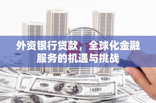 灵宝外资银行贷款，全球化金融服务的机遇与挑战