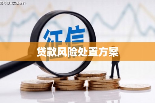 灵宝贷款风险处置方案