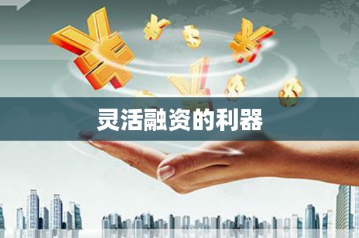 灵宝灵活融资的利器