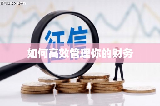 灵宝如何高效管理你的财务