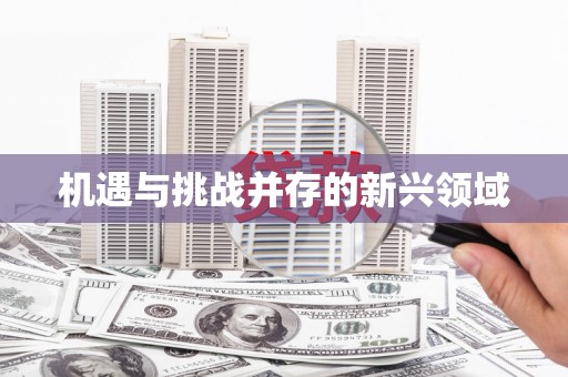 灵宝机遇与挑战并存的新兴领域