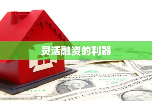 灵宝灵活融资的利器